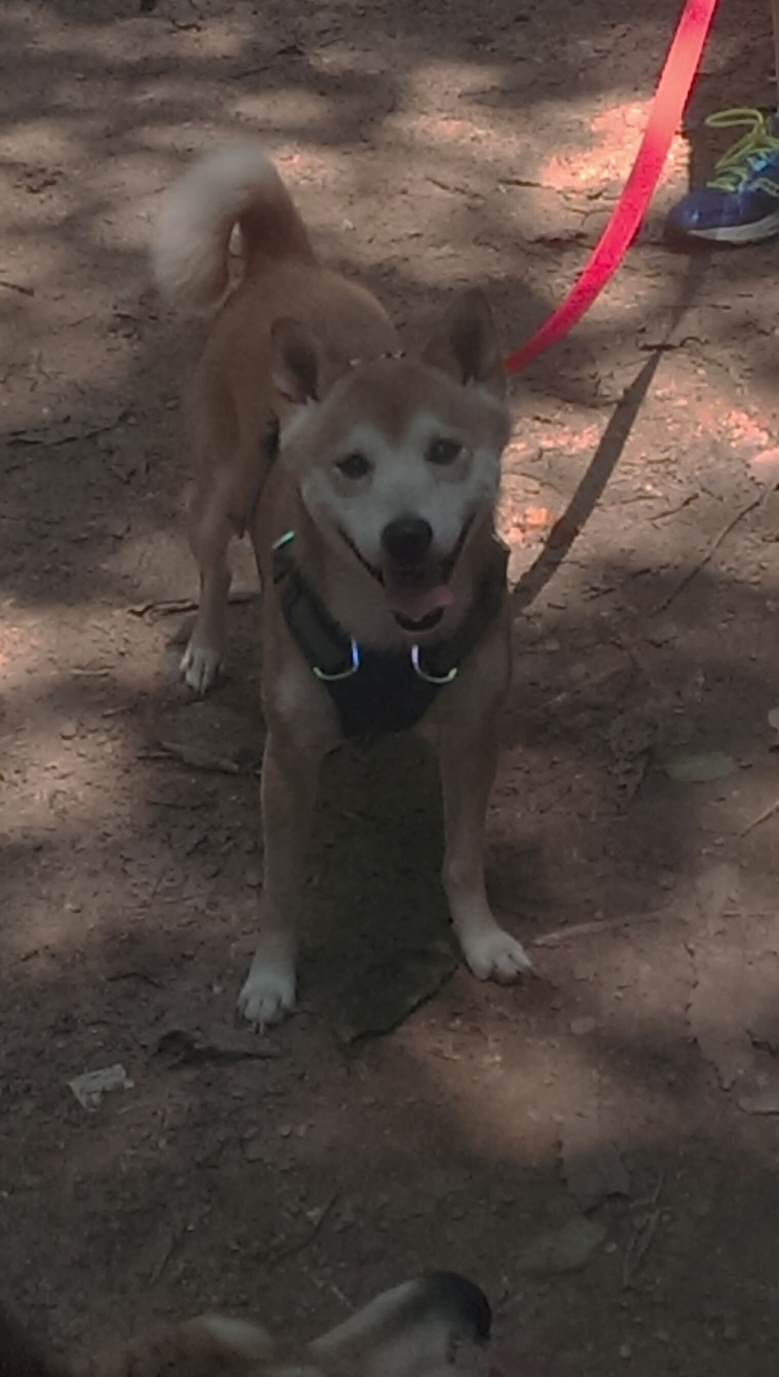 体育赛事合作伙伴拓展计划,体育合作伙伴是什么