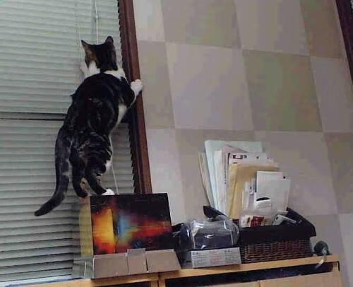 mk体育官网入口-国足队长领导力与场上执行力关系分析，国足队长是