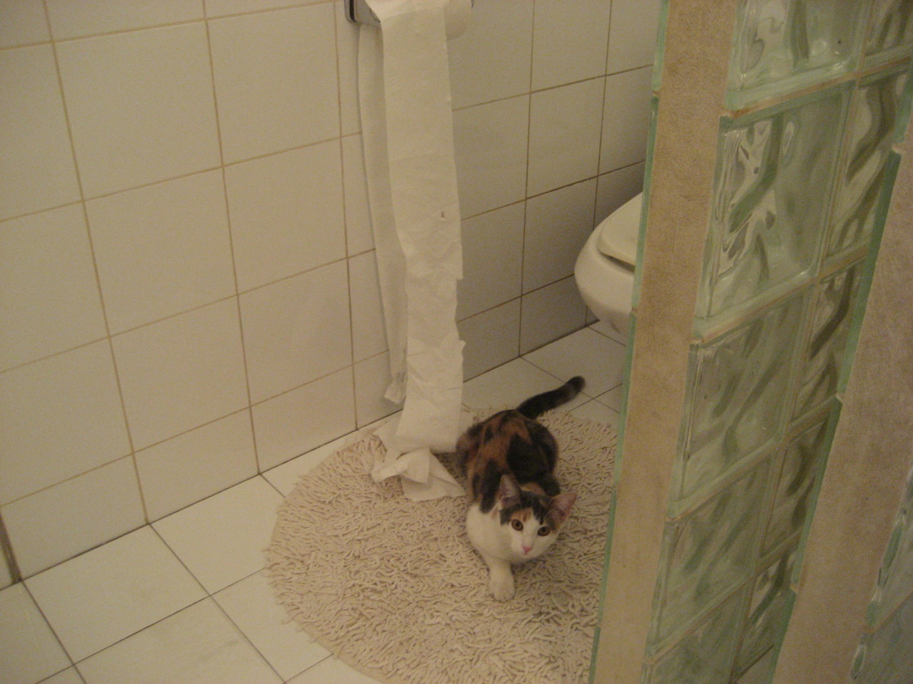 200蝶泳冠军前100米配速略快策略见效,蝶泳200米纪录