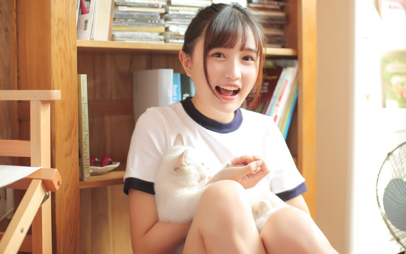 CBA各队加快引援步伐 优化阵容配置,cba参赛队伍