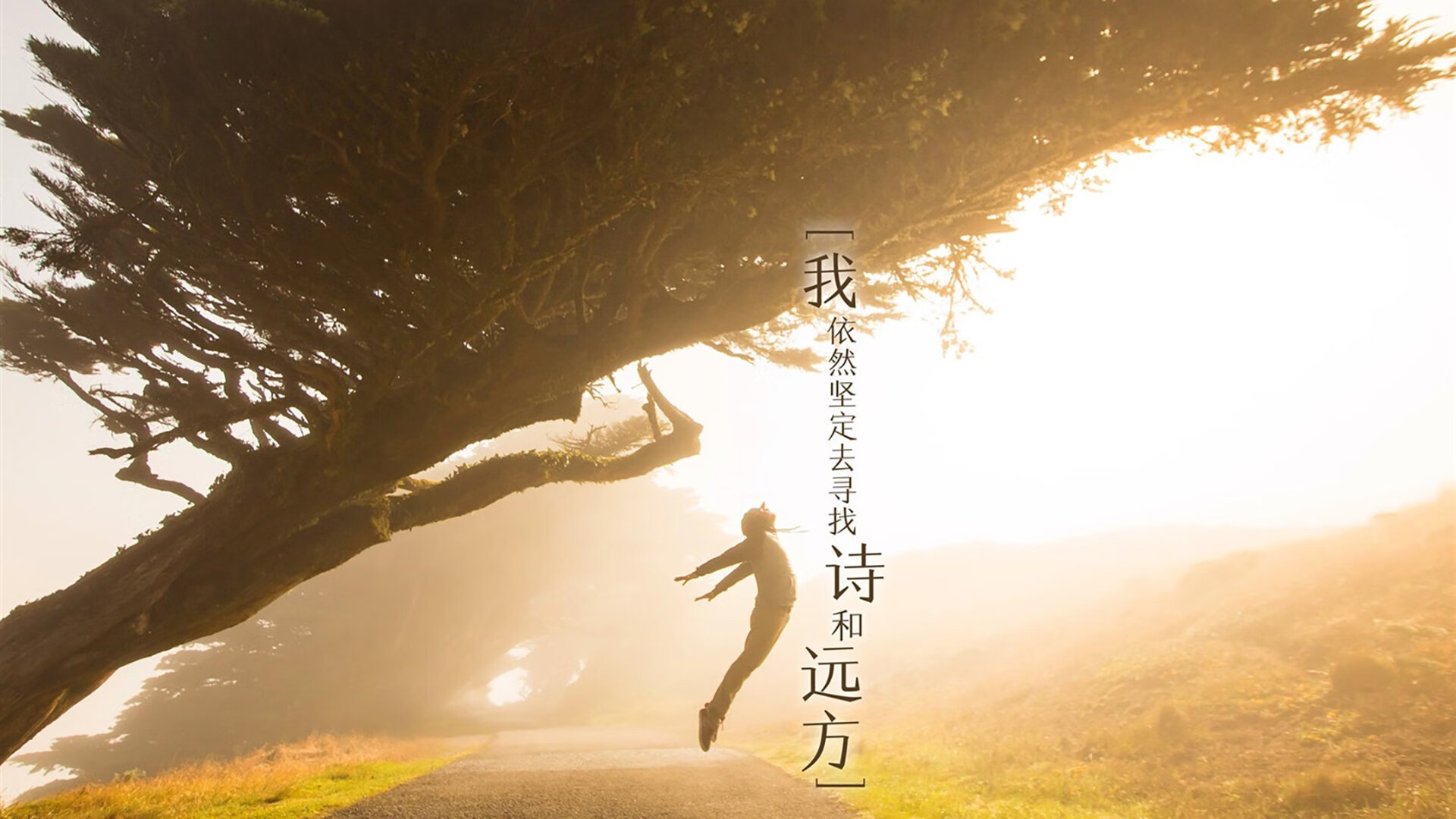 中国女篮后卫线表现出色 推动进攻节奏,中国女篮后起之秀