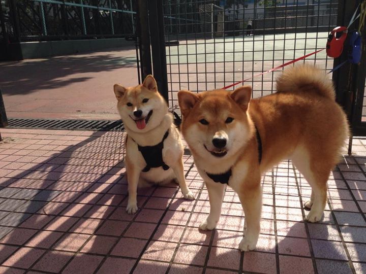 mk体育中国官网-德国队在2024年混合团体世界杯赛场上展示实力，德国队2022年世界杯