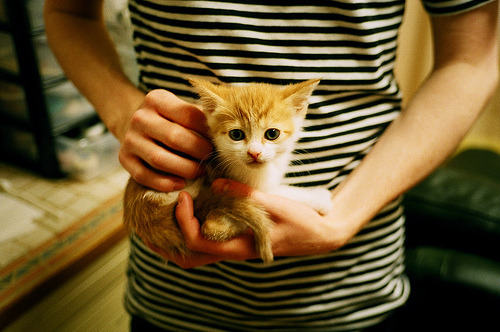 德国队在2024年混合团体世界杯赛场上展示实力,德国队2022年世界杯