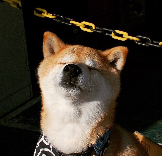 新加坡队未来的技术革新:如何突破技战术的现有限制,新加坡战力如何