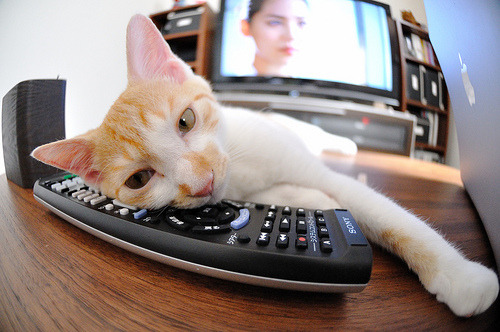 新赛季球衣风格引入传统图腾元素,22-23赛季球衣