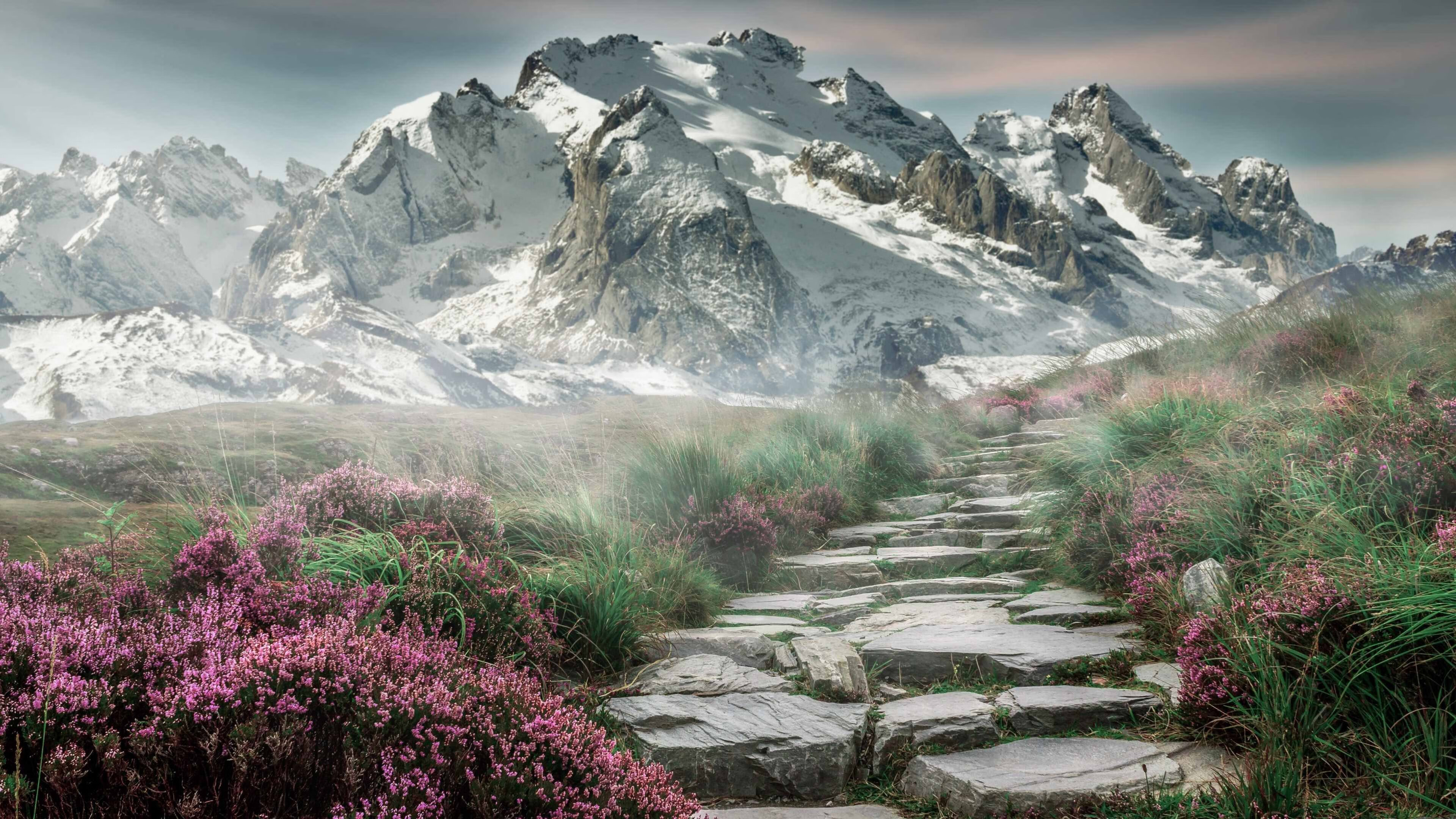 mk体育-“埃尔斯·霍斯特的非凡防守，南非羚羊队更具竞争力”