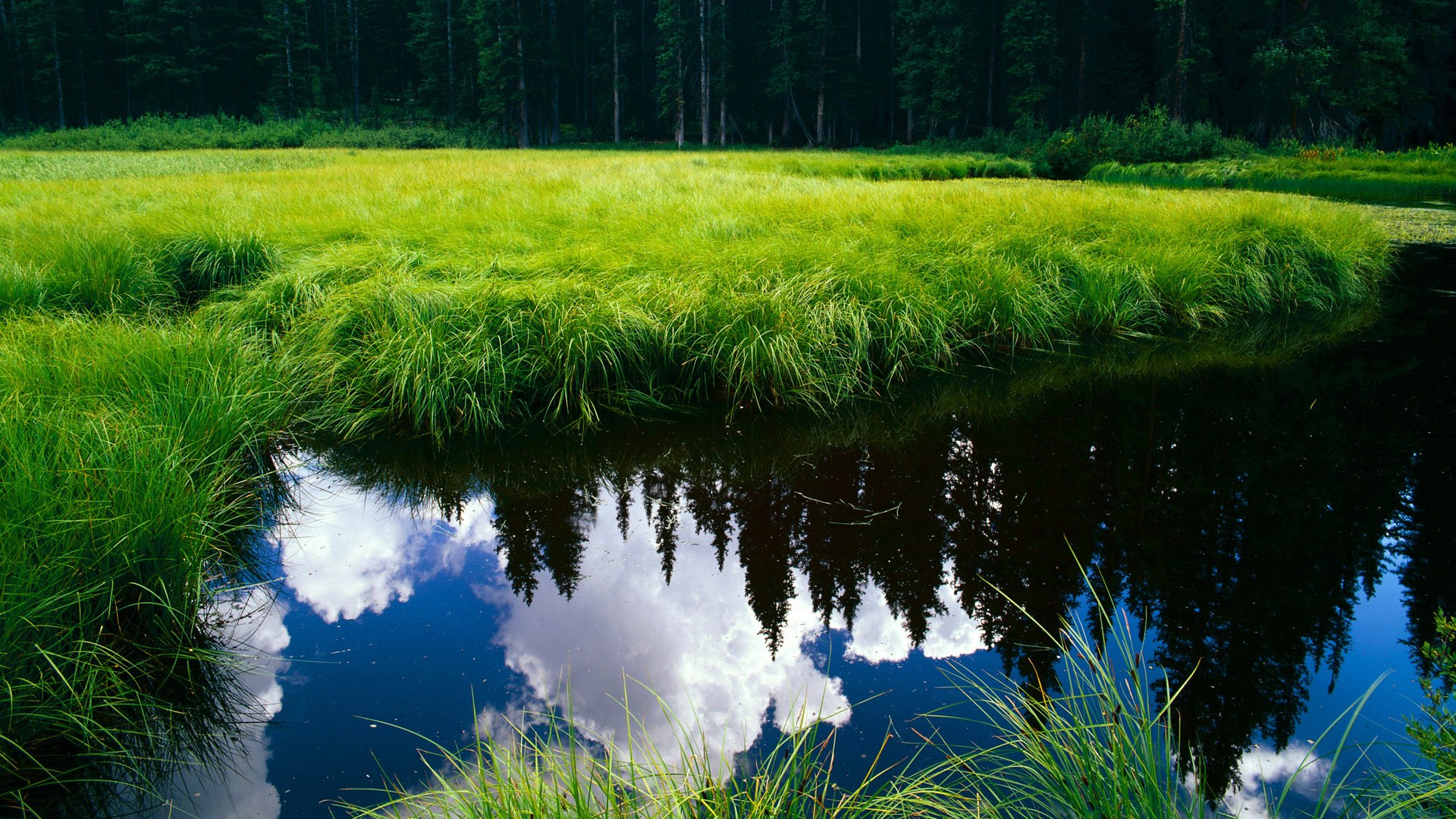 冷静与爆发并存 梅尔滕斯稳扎稳打,梅尔滕斯为什么叫梅坚柔