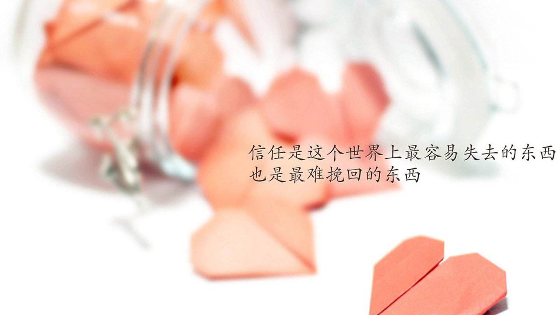 张雨霏为高中母校捐建游泳馆,张雨霏在哪学的游泳