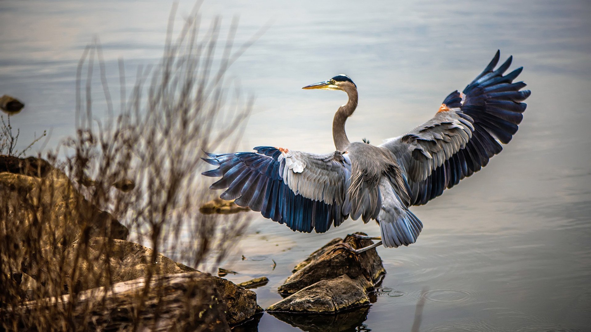欧洲杯战术调度:变化带来的惊喜连连,欧洲杯战术机位